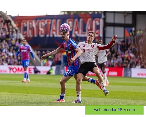 博奇瓦诺利重掌球队欧协联计划